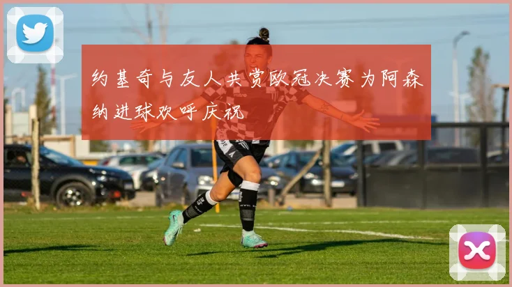 约基奇与友人共赏欧冠决赛为阿森纳进球欢呼庆祝