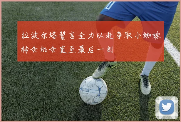 拉波尔塔誓言全力以赴争取小蜘蛛转会机会直至最后一刻
